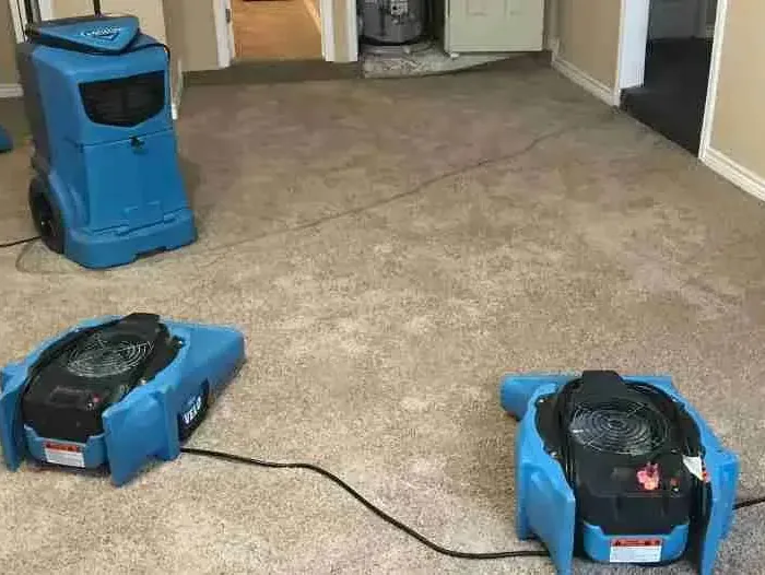 Blue air movers and a dehumidifier set on wet carpet during a dry-out