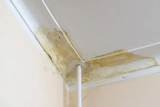 Water stain spreading across a ceiling corner below a roof leak